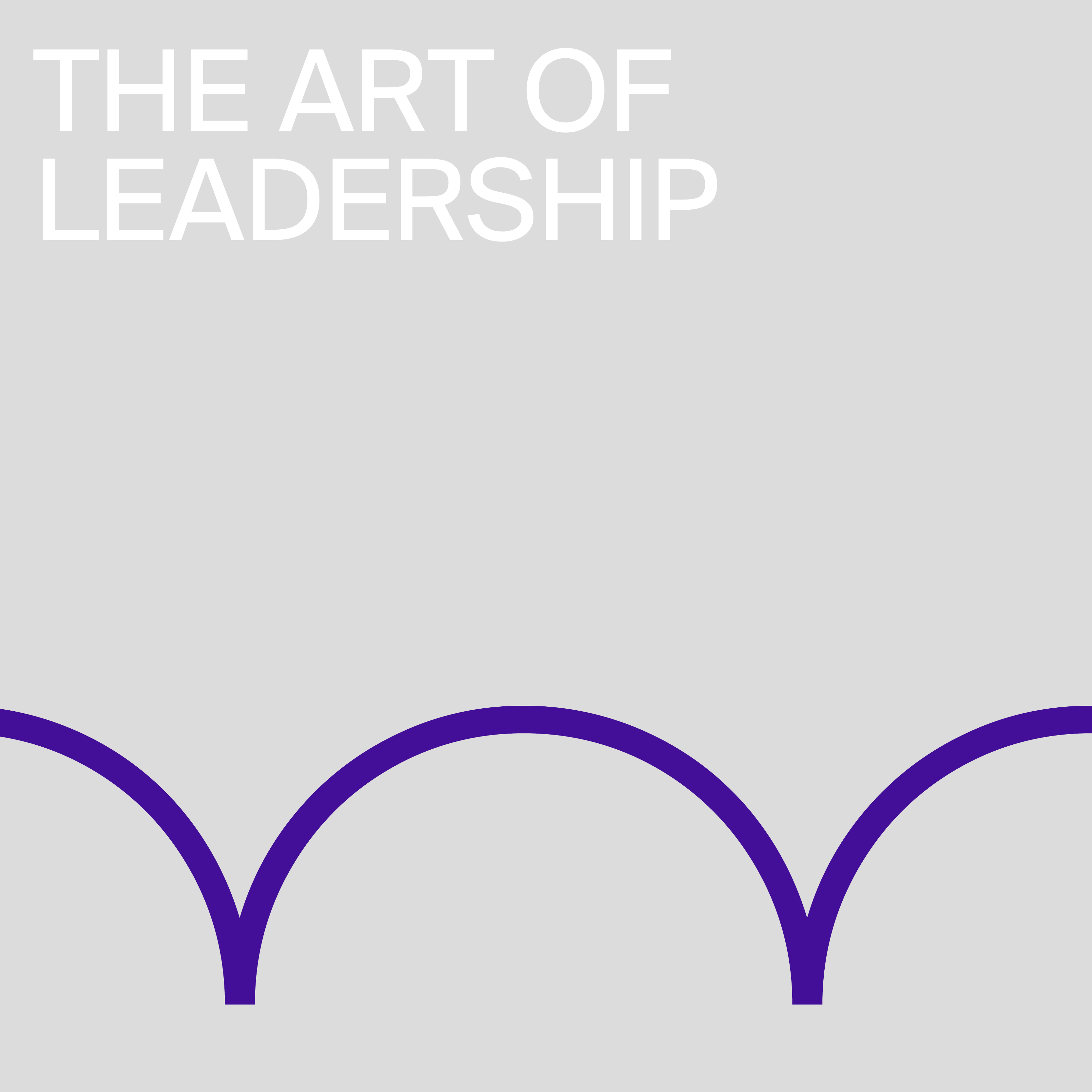 The art of leadership banner