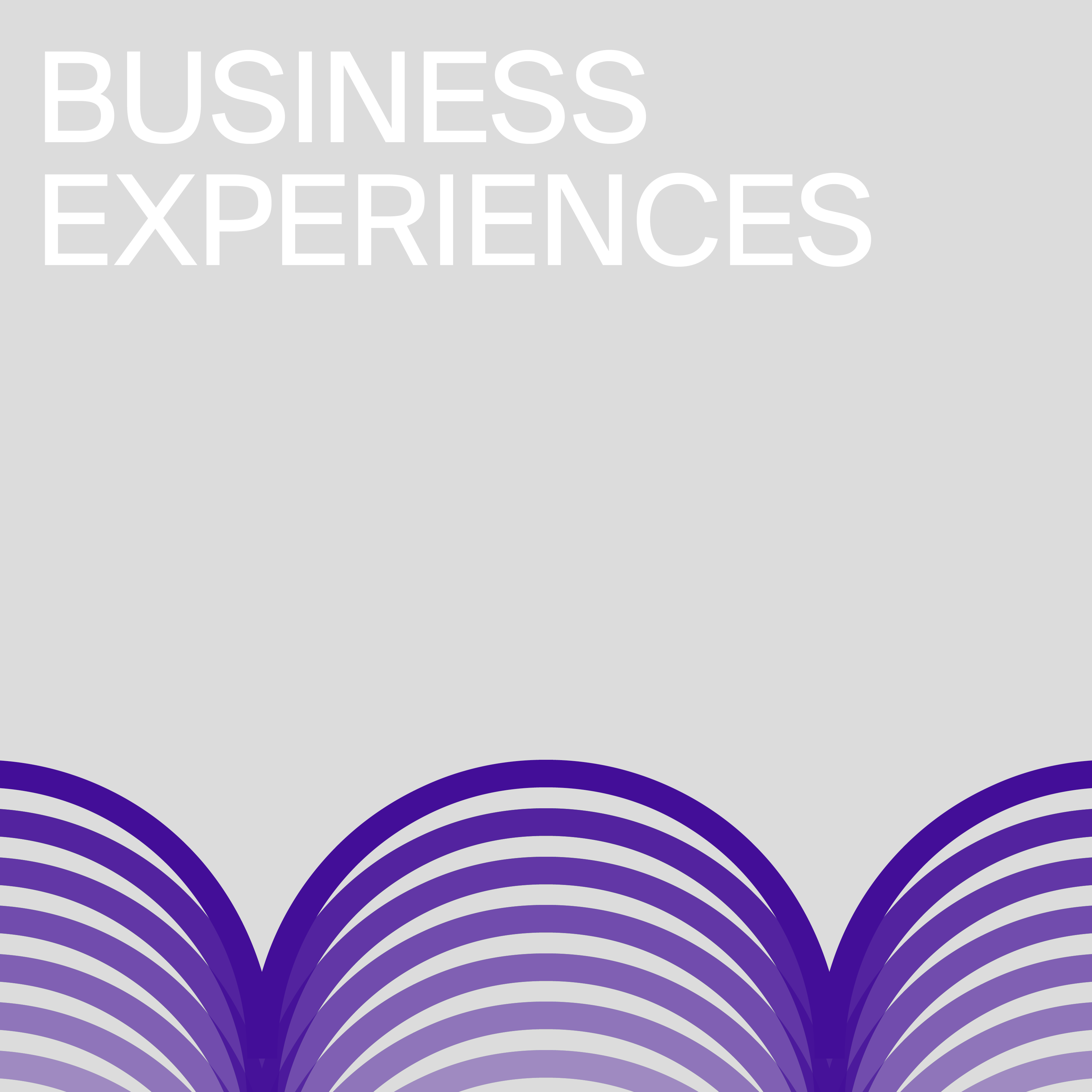 business experiences