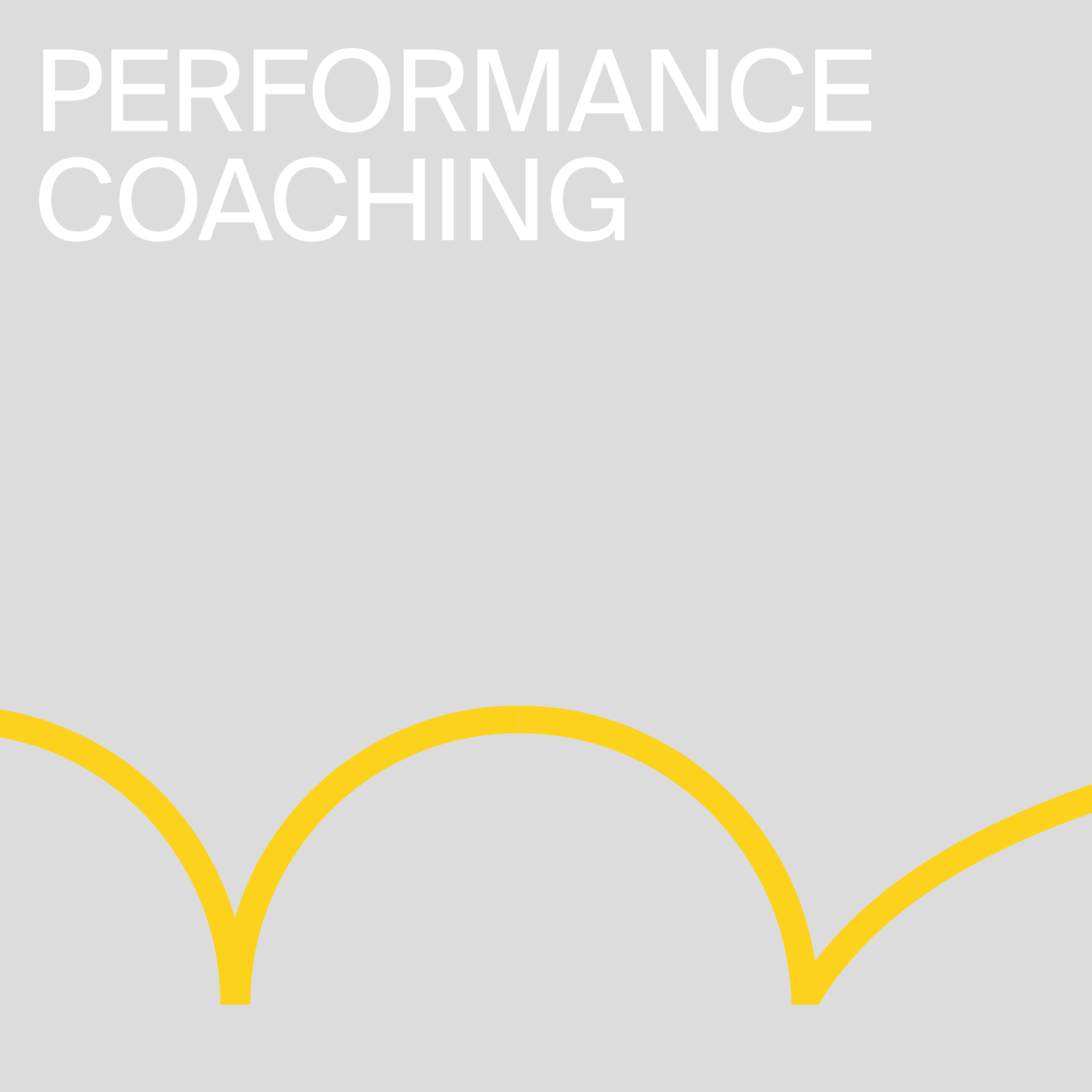 Performance coaching banner